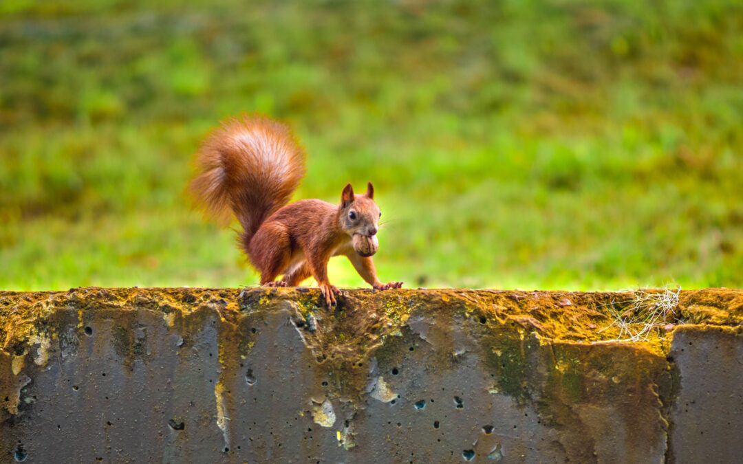 Use This Hack To Squirrel Away More Money Into Your Savings Account